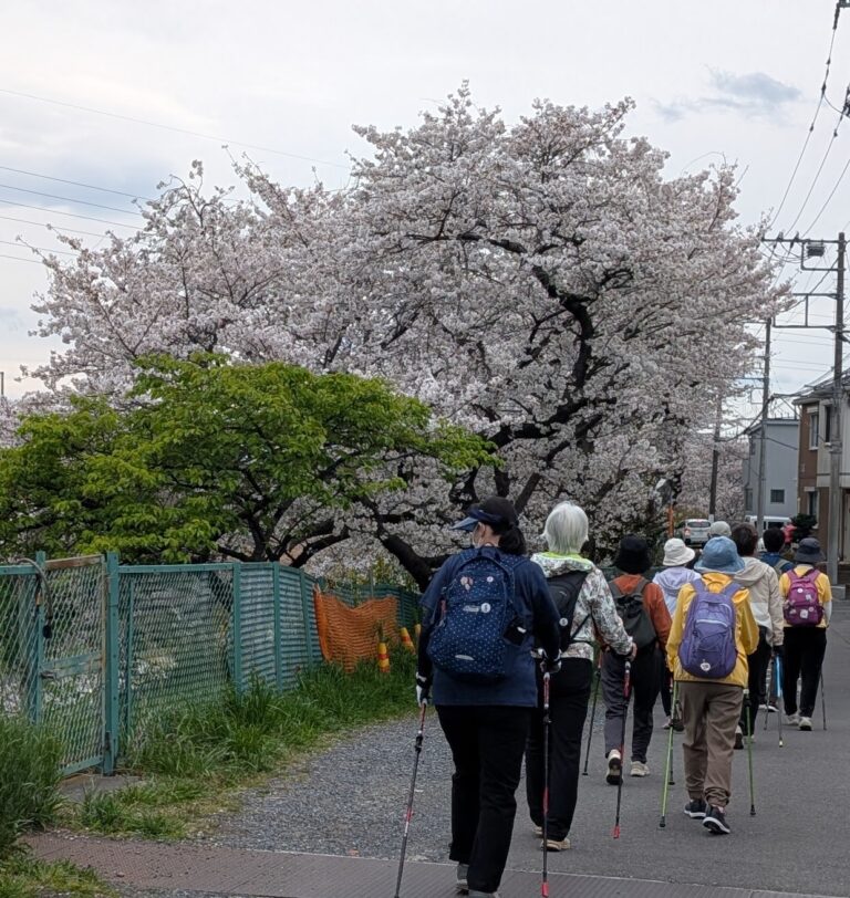 体験会 開催情報